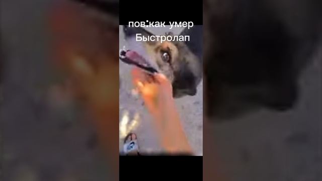 хахаха я прото обожаю это видео 😋🍃