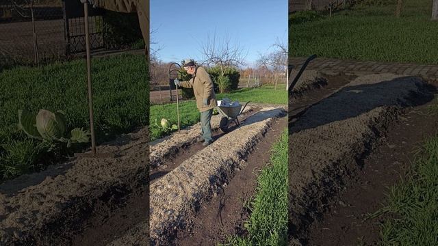 Осенние посадки завершили.....mp4