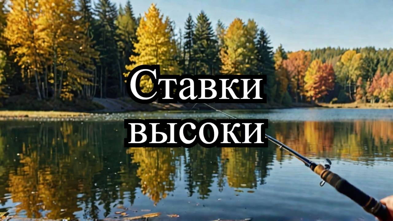 Азарт 6 ноября 24 года