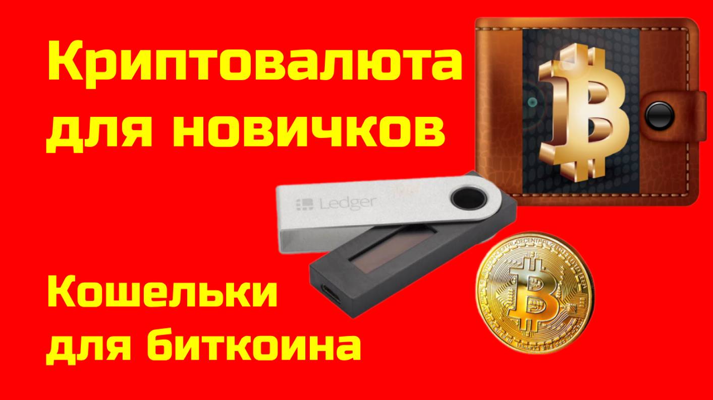 Биткоин: кошельки для хранения |Криптокошельки | Крипта для новичков