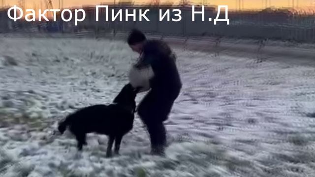 ПИНК ИЗ НЕВСКОГО ДЕСАНТА ПРК. 03.11.2024