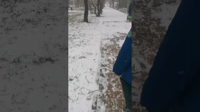 Метель