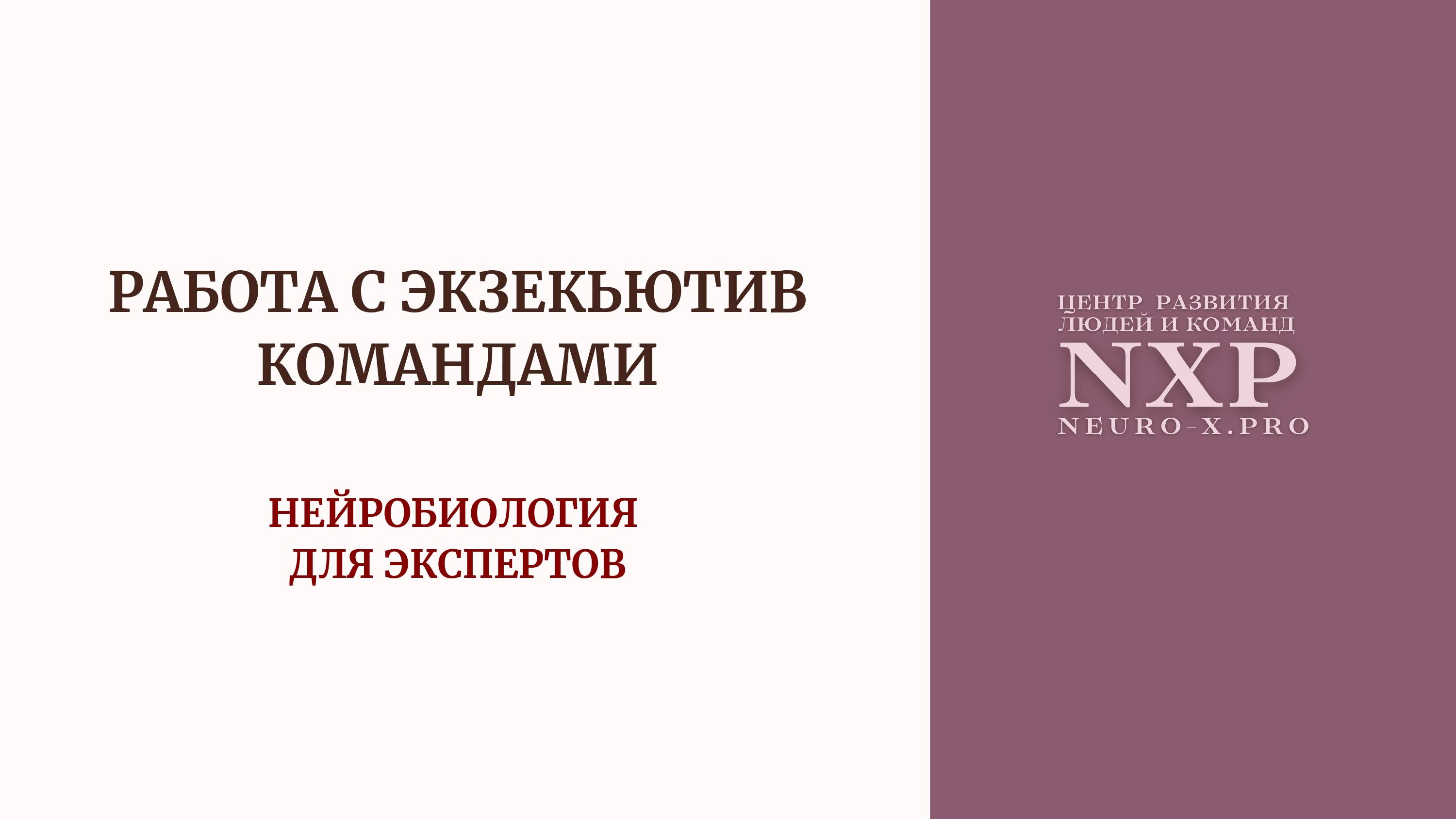 Вводный урок "Нейробиология для экспертов. Работа с группами и командами".