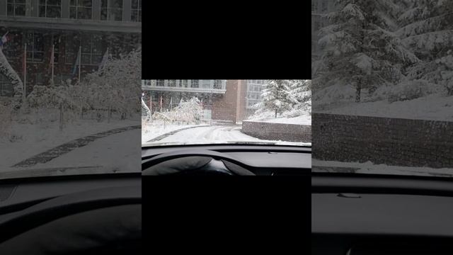 лучший друг