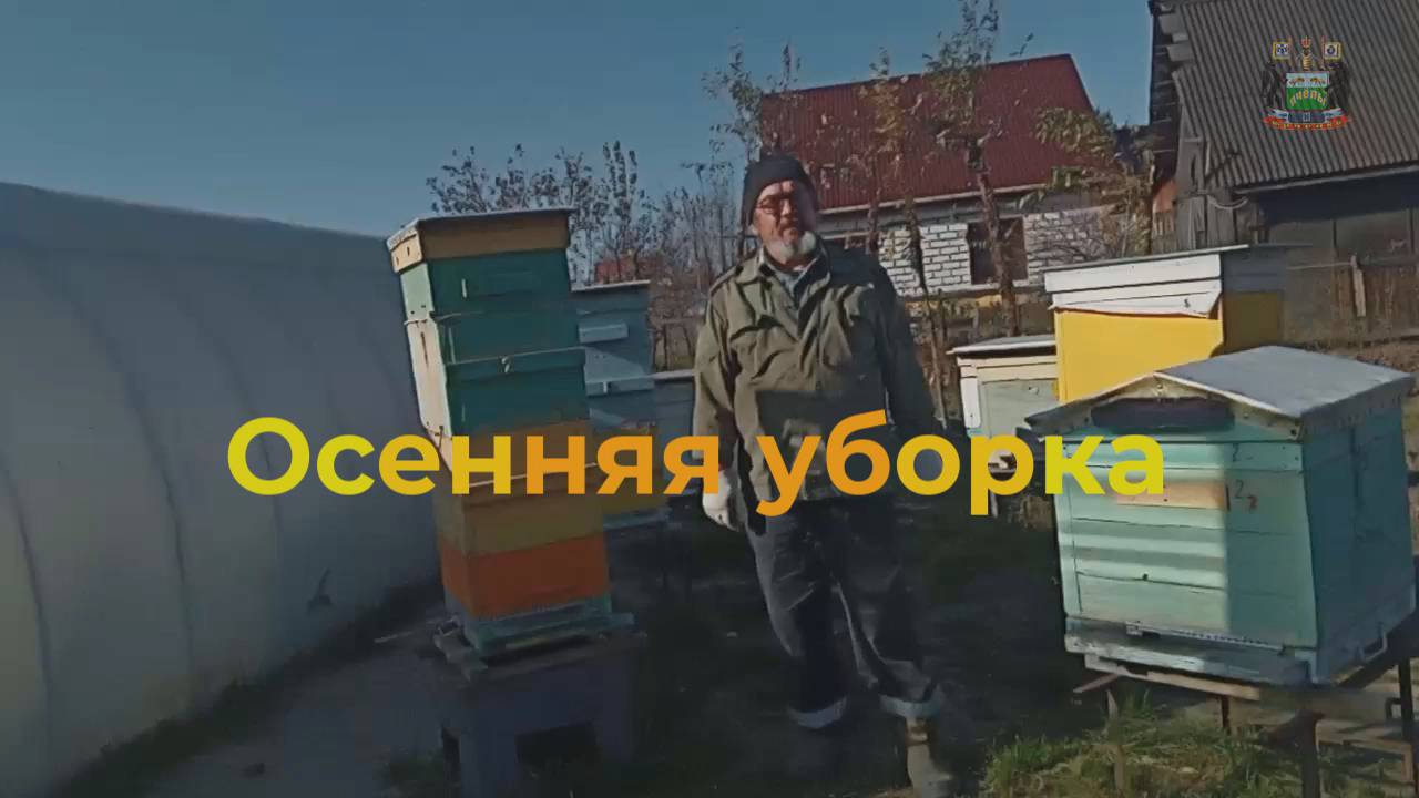 Осенняя уборка .