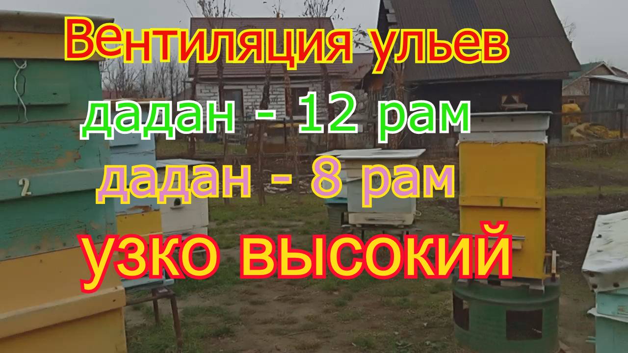 Вентиляция в ульях