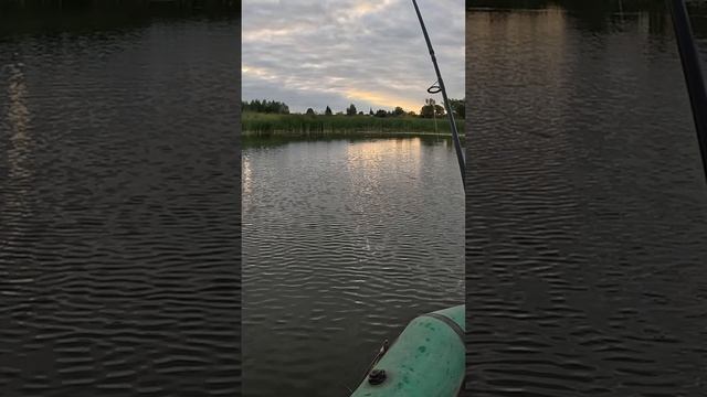 Слабая поклевка окуня #рыбалка #окунь #fishing