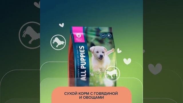 Aller Petfood. Демонстрация линейки кормов