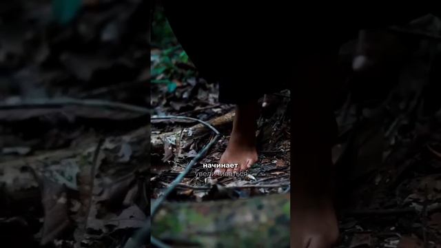 🌿 Связь с Землей — это один из самых ценных источников женской силы!