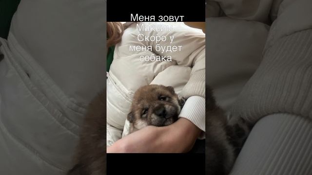 ждём нового члена семьи