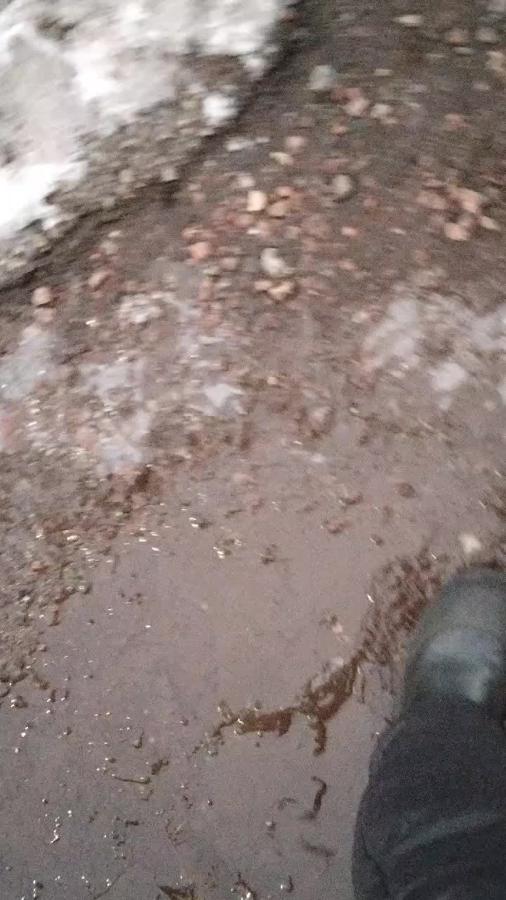 влог