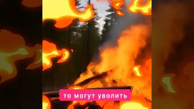 Если долго смотреть на огонь...