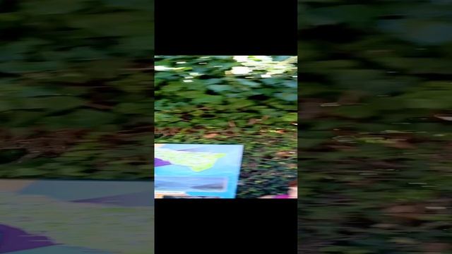 ba044960-af01-44e2-8688-0808bb1b844f-1_all_155.mp4