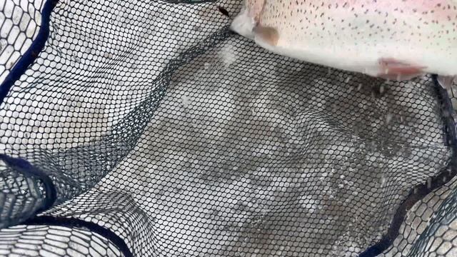 Поимка на блесну