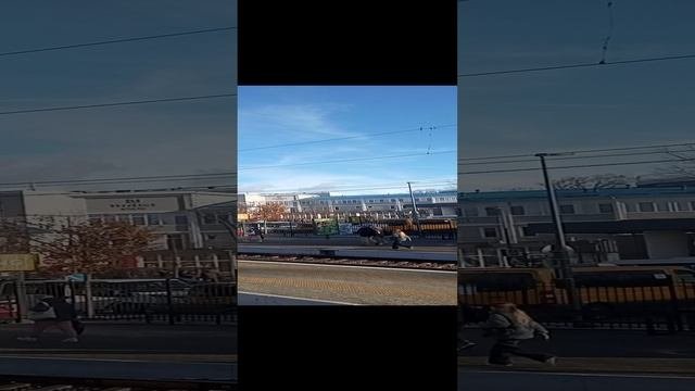 Станция Зеленоградск
