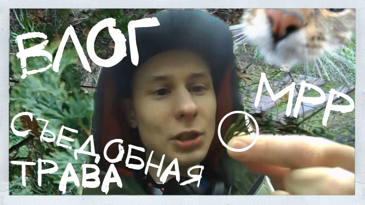 ВЛОГ: Съедобная трава. Кот который смог. МРР. VLOG: Cat who can do it. I and edible grass. MRR.