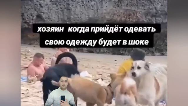 1000019728.mp4