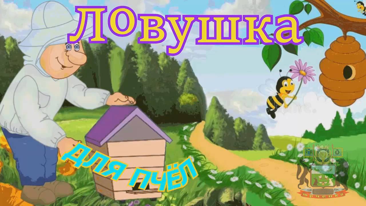 Ловушка для пчёл.