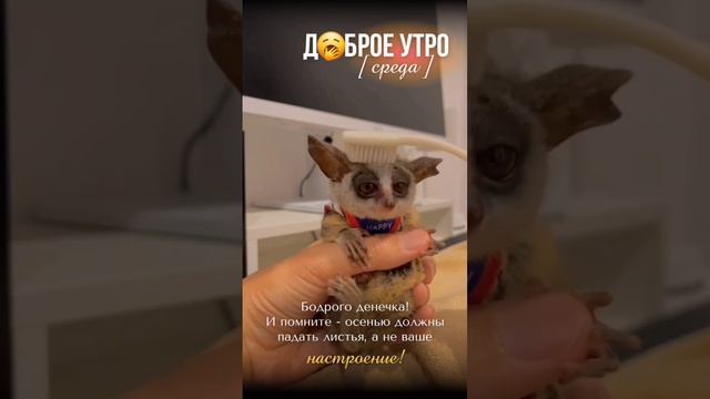 Пусть на улице снег и пасмурно. Улыбайтесь и делайте день счастливей сами😘 Чудесной среды! #среда