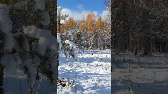 Золотое правило жизни: не переживай из-за того, что ты не в силах изменить, прими ситуацию такой...