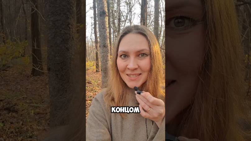 анекдот про 🦔