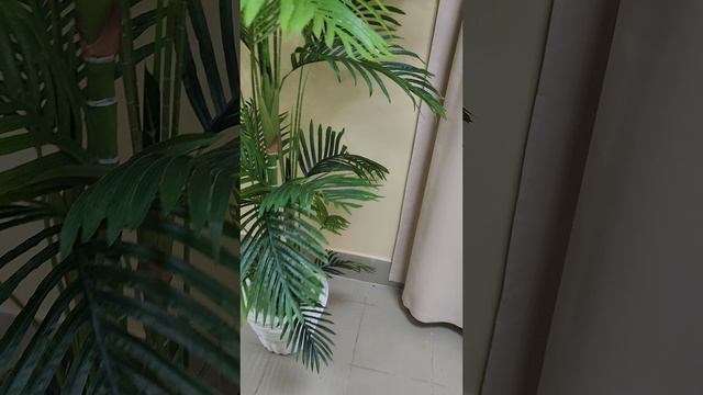 1000200457.mp4