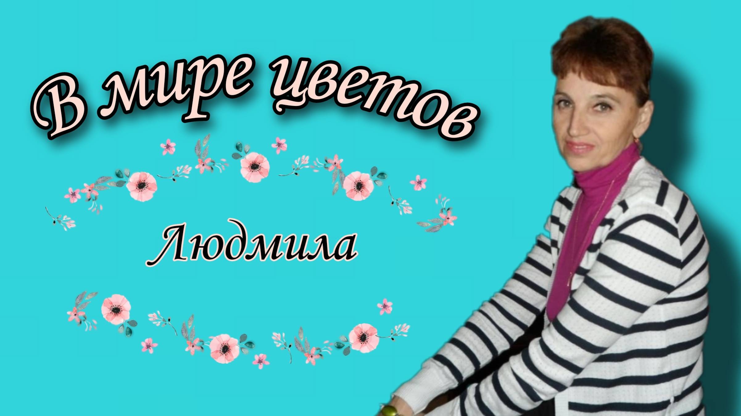 Обзор деток Бегоний 3
