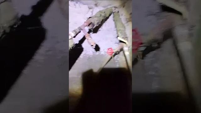 Гудаутская, 5