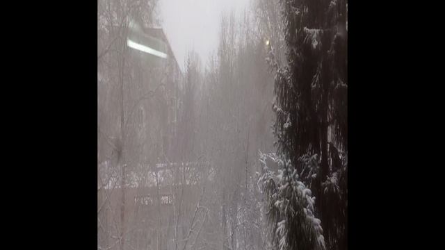 Зиммаа