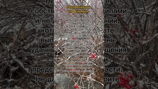 Гороскоп на 6 ноября. #гороскоп #гороскопдня #гороскопнасегодня