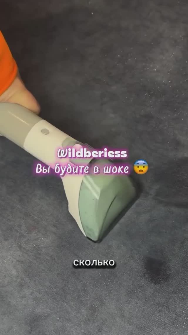 Моющий пылесос Wildberries