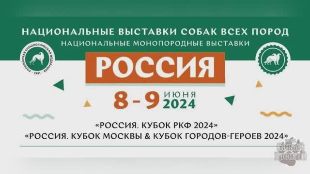 240608-09_выставка Россия 24