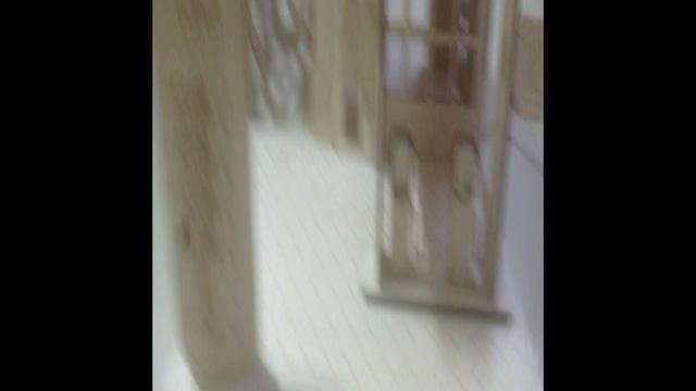 VID-20241106-WA0007