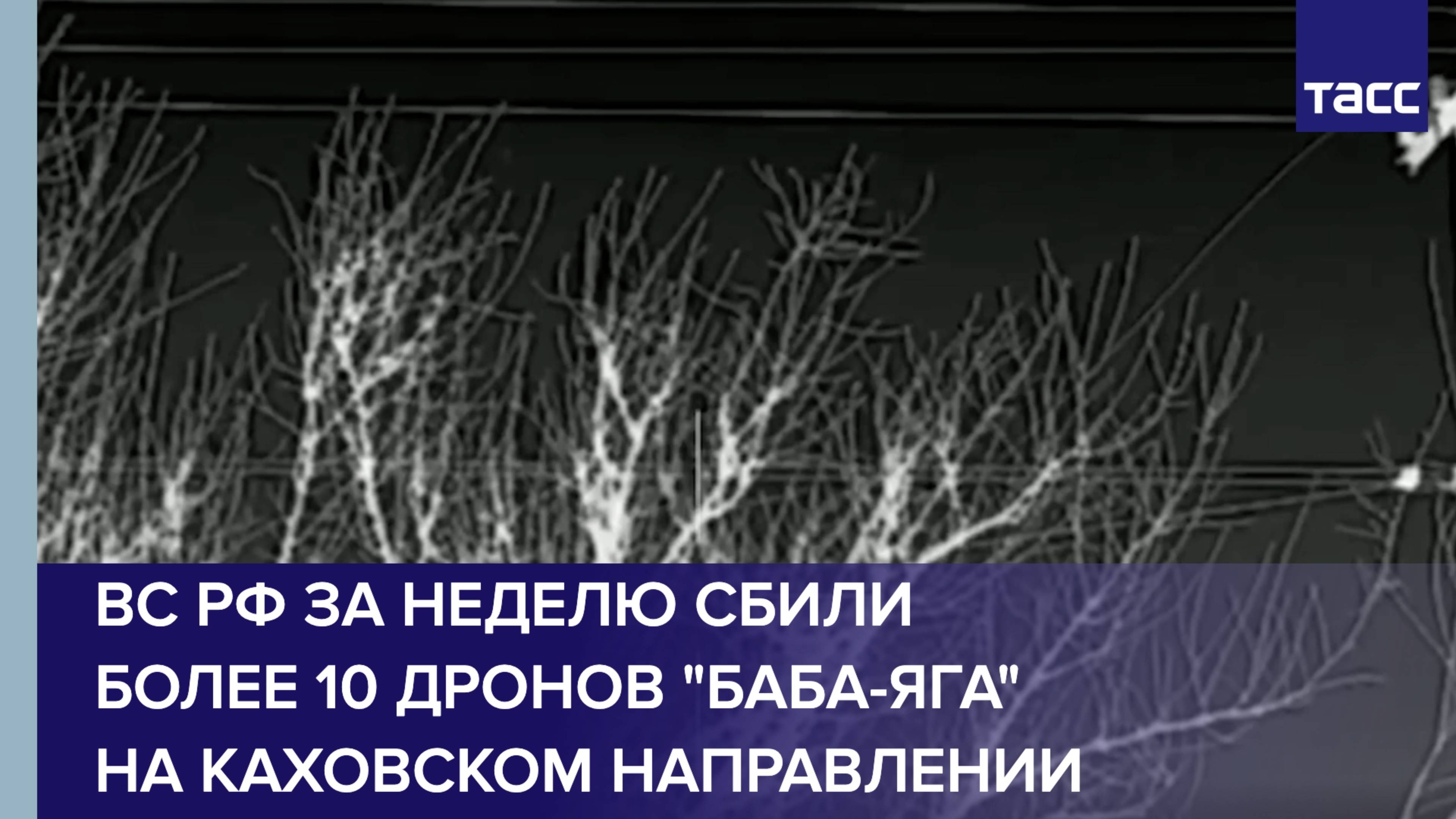 ВС РФ за неделю сбили более 10 дронов "Баба-яга" на каховском направлении