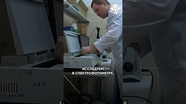 Почему трава зеленая? 
Разбираемся в этом вопросе вместе с Алексеем Сивухиным