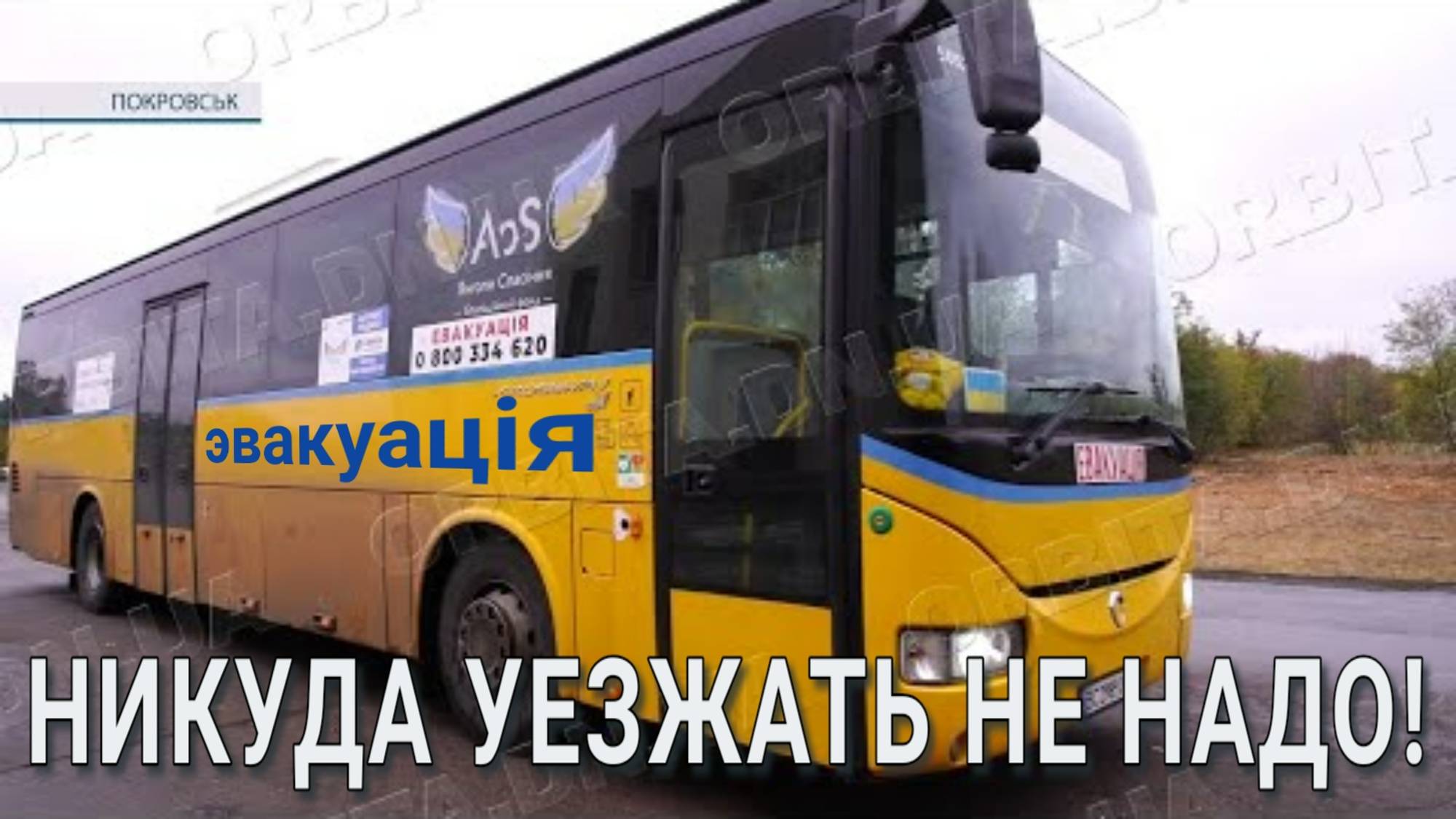 Несознательные покровчане уезжают на западную Украину