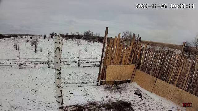 Хозяева фермы