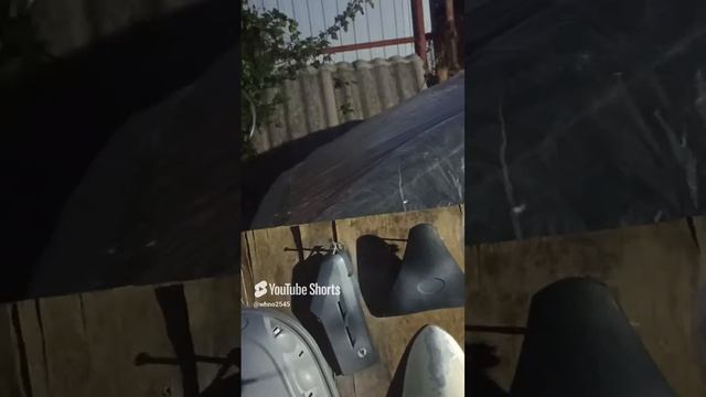 из жизни одного скутера