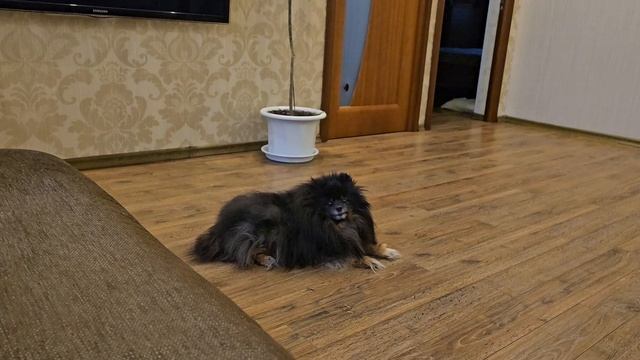 спой песенку