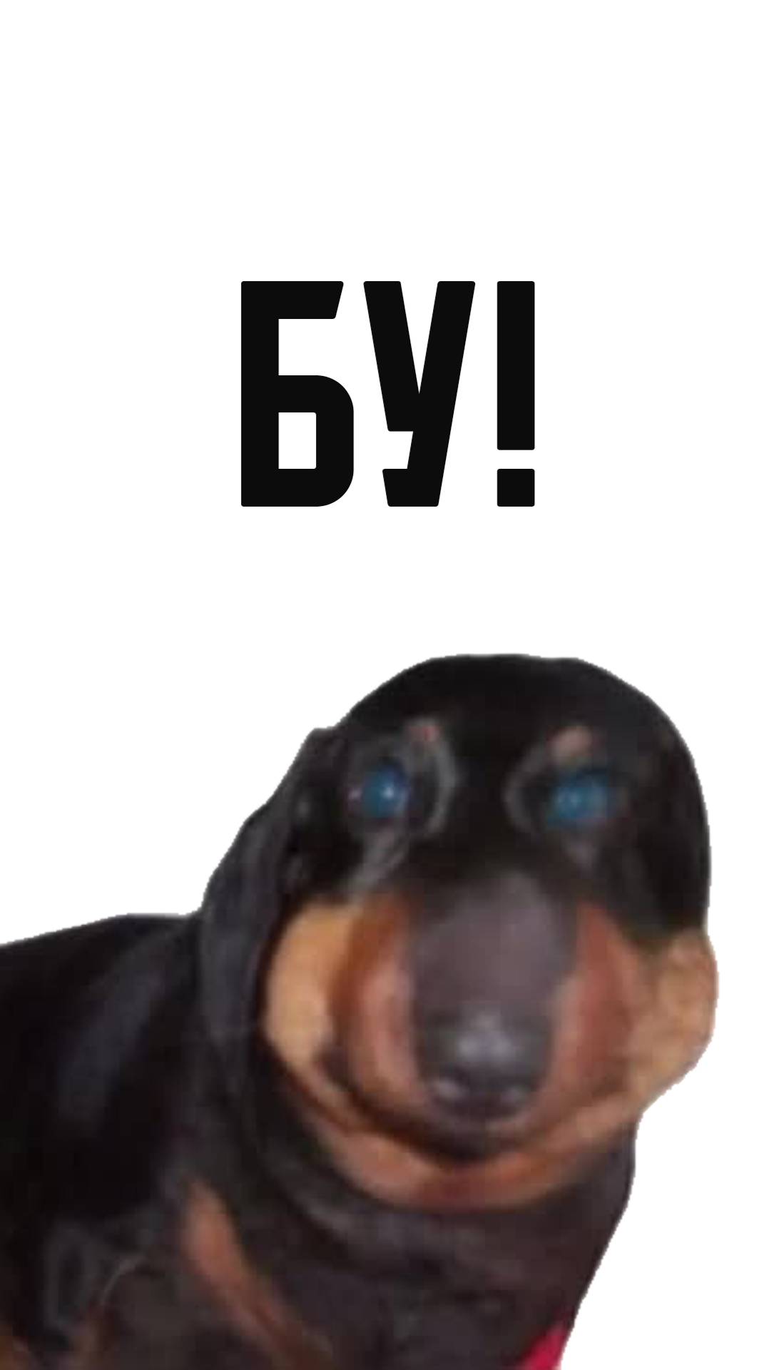 Мы добавили пасхалку на ДАВГА в нашу хоррор игру!