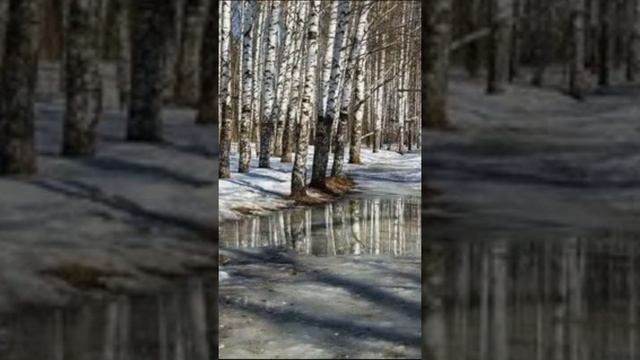 В.Тушнова - "Счастливо и необъяснимо"