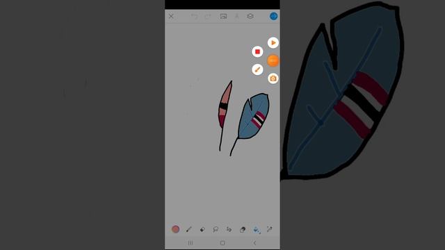 1000005656.mp4