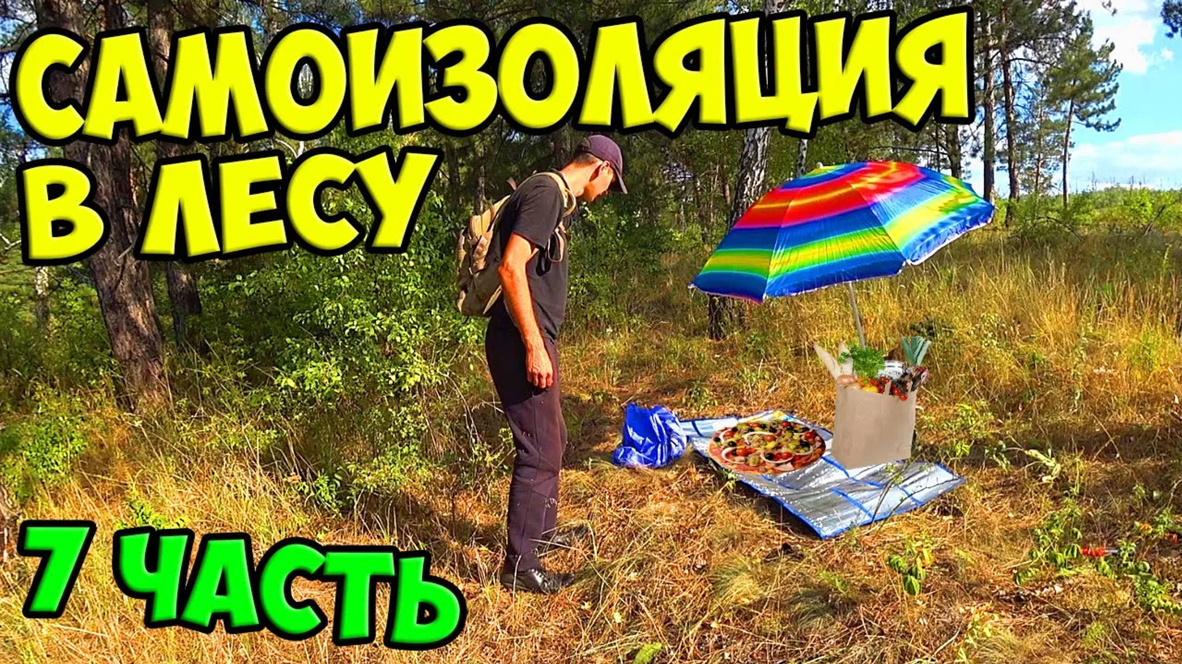 Выживание в лесу [7-Часть] Поломали ловушку. Забрал еду у отдыхающих...........#природа #выживание
