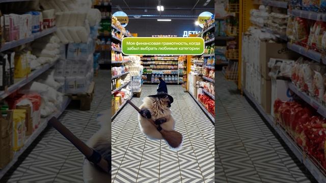 Котик ЛЕТАЕТ по «Пятёрочке»!😱 😱 😱