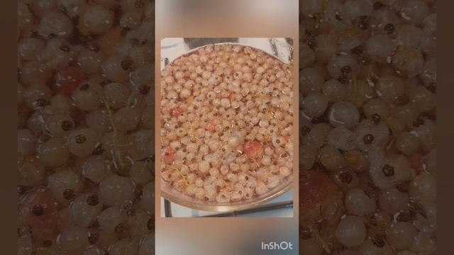 Морсик из белой смородины и садовой вишни. Спасаемся в сезон простуд.