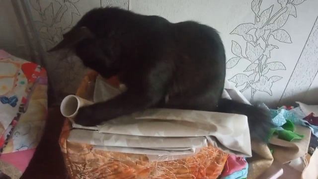 Котенок помощник в швейных делах