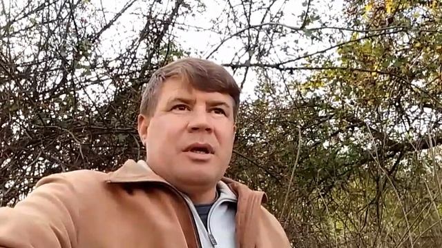 В свете последних событий.