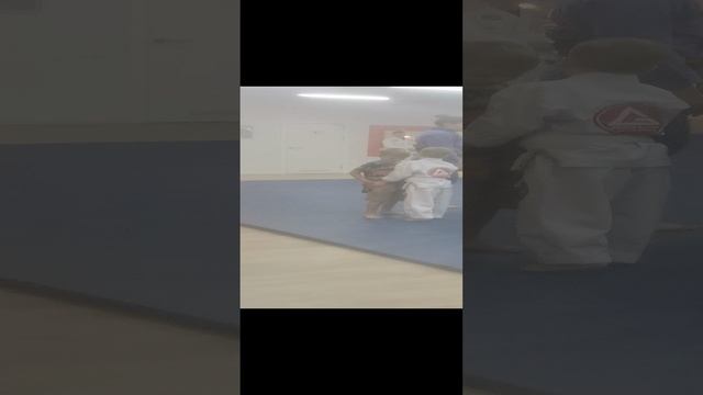 VID_20241106_185746.mp4
