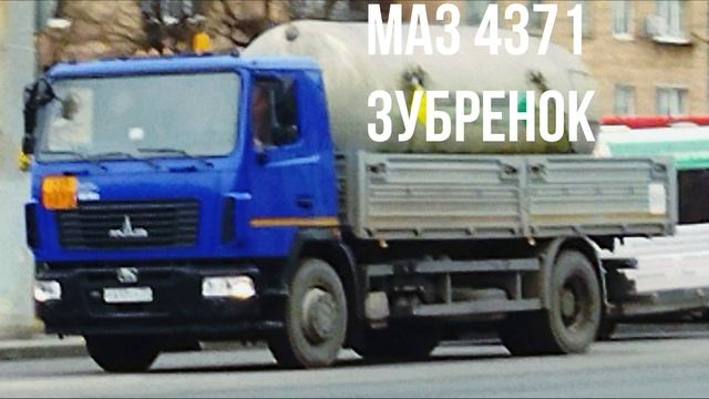 МАЗ 4371 ЗУБРЕНОК