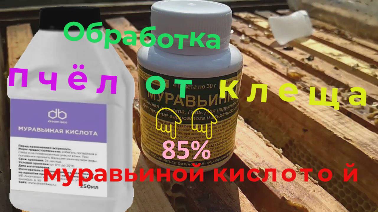 Обработка пчёл от клеща 👉 муравьиной кислотой 85 %